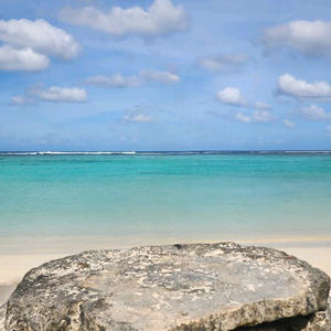 2024스타리아 캠핑카