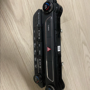 더뉴카니발 풀오토공조기