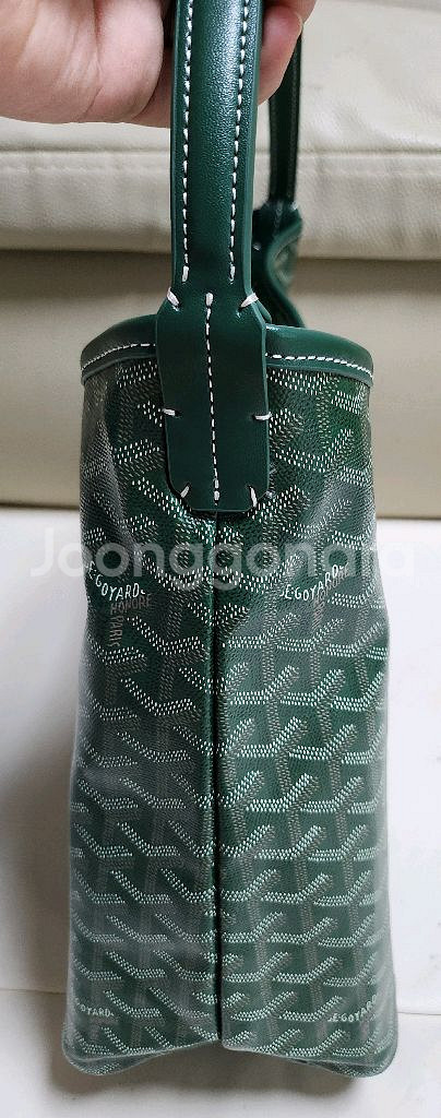 고야드 보헴 그린--3