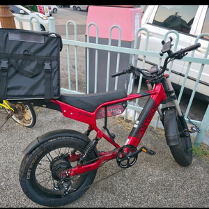EASYRIDE All Terrain 500전기 자전거