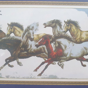 Eight horses