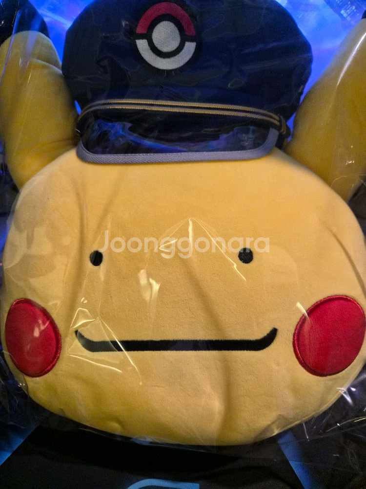 역장 피카--0