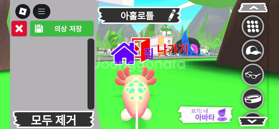 입양하세요 펫 메가네온 아홀로틀 판매해요--3