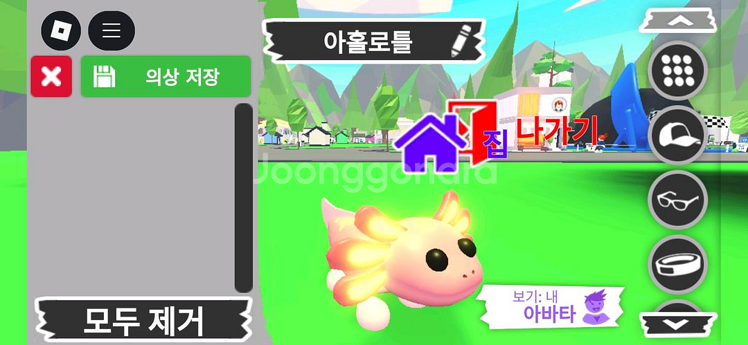 입양하세요 펫 메가네온 아홀로틀 판매해요--1