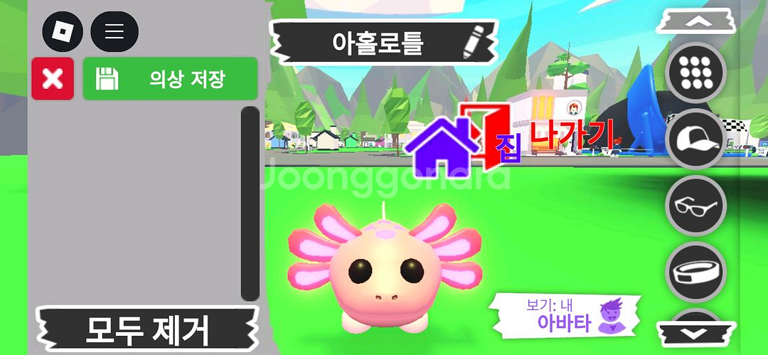 입양하세요 펫 메가네온 아홀로틀 판매해요--0