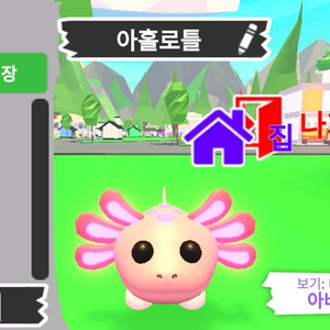 입양하세요 펫 메가네온 아홀로틀 판매해요