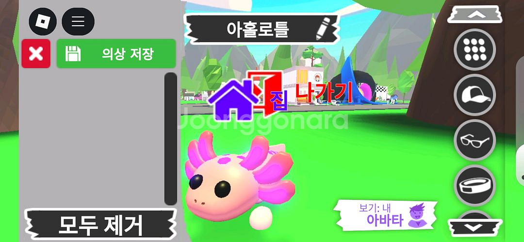 입양하세요 펫 메가네온 아홀로틀 판매해요--2