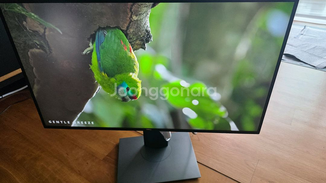 델 울트라샤프 U2520D QHD 모니터--0