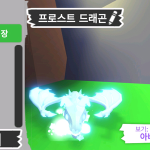 입양하세요 펫 네온 프로스트 드래곤(네얼)(얼드)팝니다