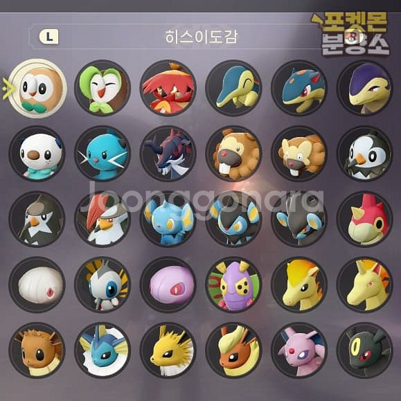 레전드 아르세우스 / 각종 이로치 우두머리 포켓몬 분양--3