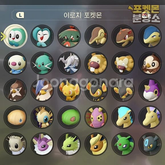 레전드 아르세우스 / 각종 이로치 우두머리 포켓몬 분양--4