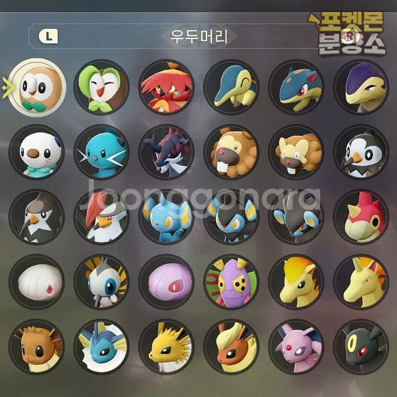 레전드 아르세우스 / 각종 이로치 우두머리 포켓몬 분양--5