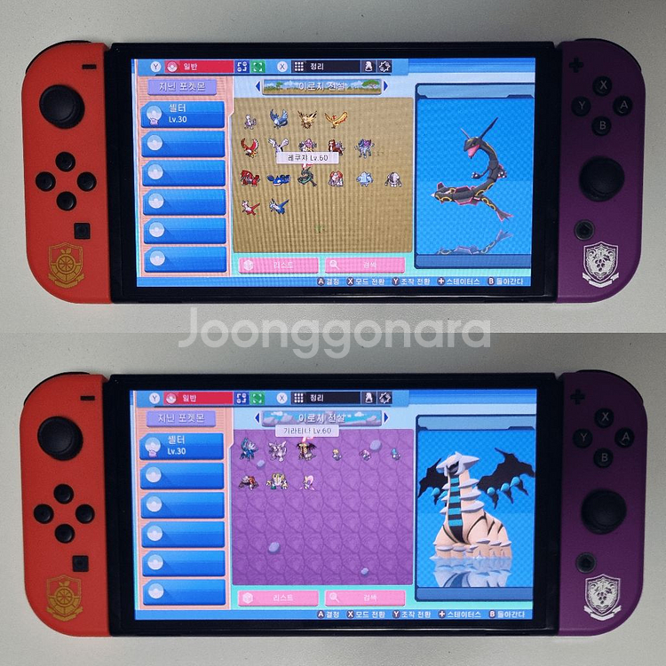 브다샤펄 / 각종 이로치, 실전, 배포 포켓몬 분양--1