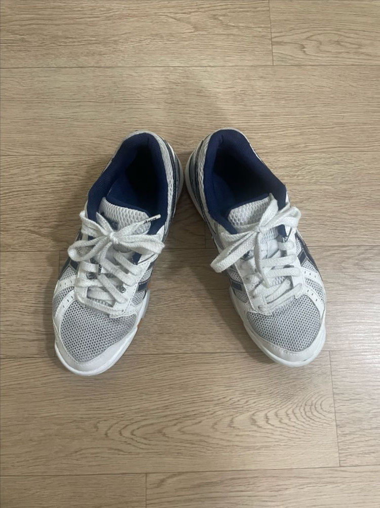 아식스 로테리브레 225size--2