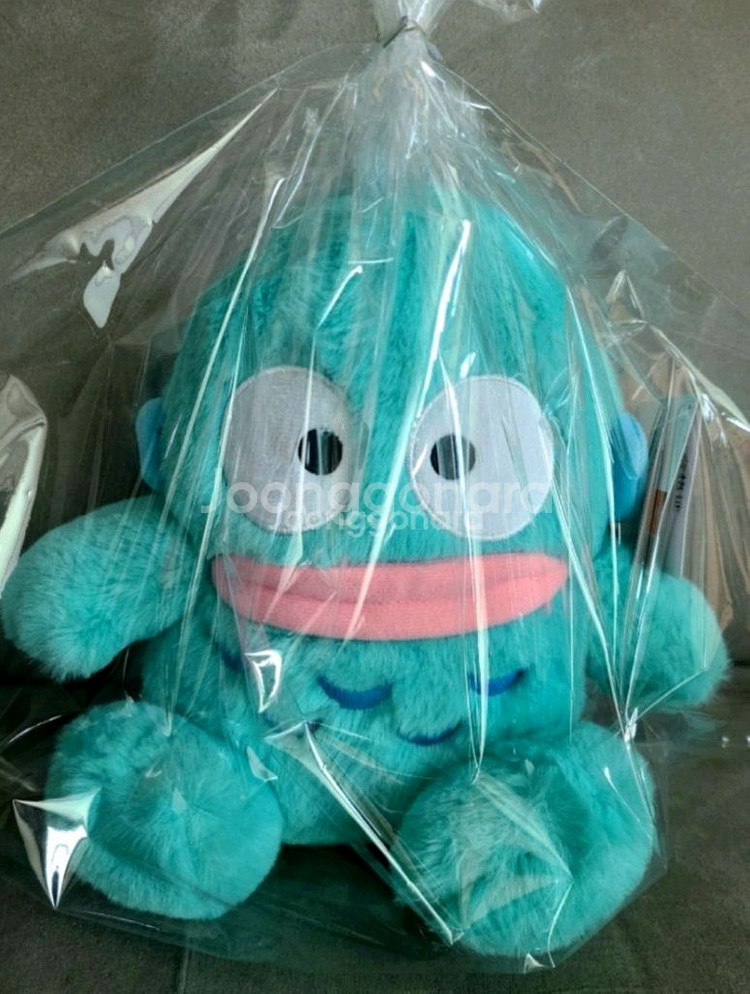 한교동 중형 뽀글이 (산리오 정품)27cm--3