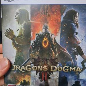 PS5 드래곤즈 도그마2