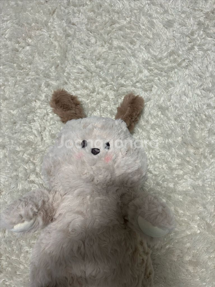 (새상품)강아지인형30cm--1