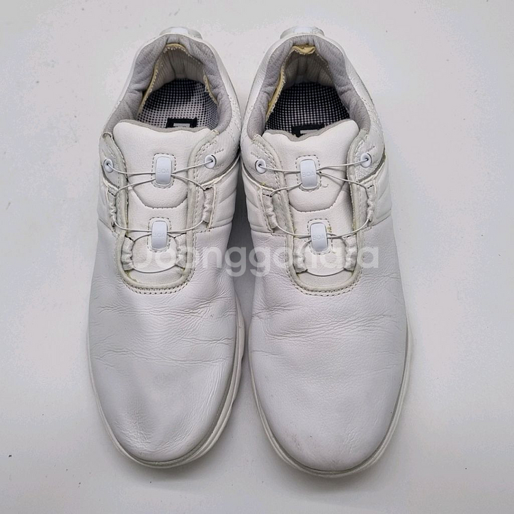 풋조이 프로SL 여성골프화235--1