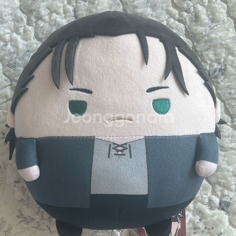 진격의거인 에렌 후와코로링 M 인형 누이--0
