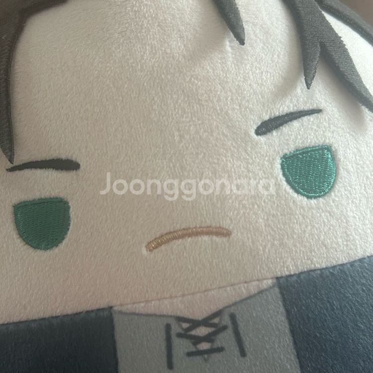 진격의거인 에렌 후와코로링 M 인형 누이--2