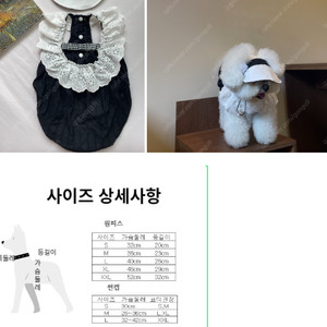 강아지 원피스 4종 일괄 판매합니다!