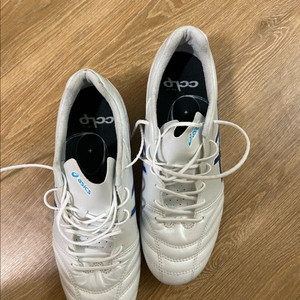 아식스 ds light ag 250 미착용