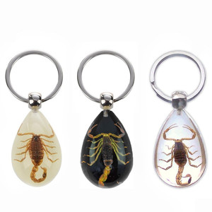 새 랜덤 발송 리얼 전갈 열쇠 고리 키 체인 키링