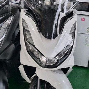 혼다 pcx 24년식 스쿠터
