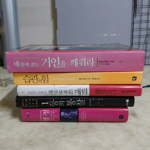 앤서니라빈스 네안에잠든거인을깨워라 열정 5종