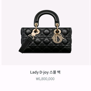 디올 레이디 디조이 스몰백