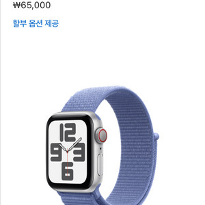 애플워치 40mm 스트랩 밴드 정품 페리윙클 루프