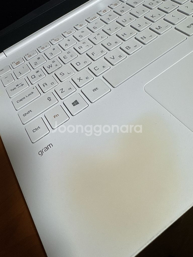 LG 노트북 그램 2018 15ZD980-GX50K--3