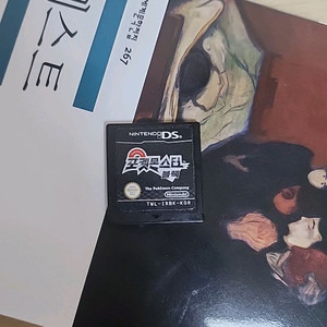닌텐도 ds 블랙
