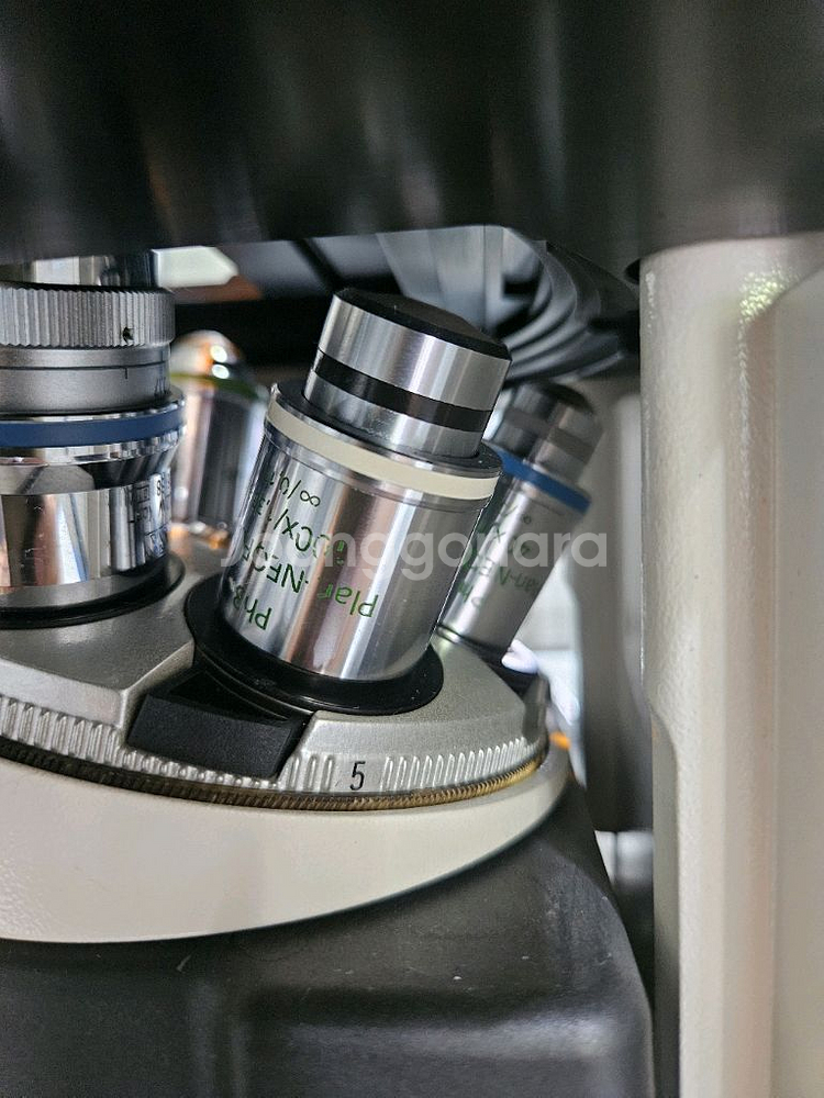 Carl Zeiss Axiovert 200M형광현미경--6