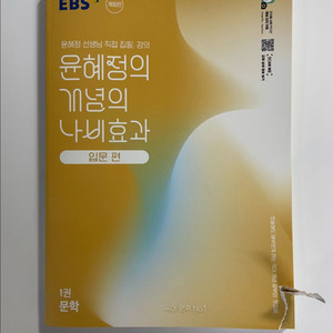 2025 윤혜정 개념의 나비효과 입문편 (문학)