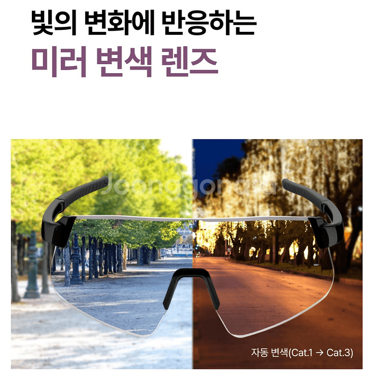변색 렌즈 고글 알타리스트 하야테 R2 판매 안내--7