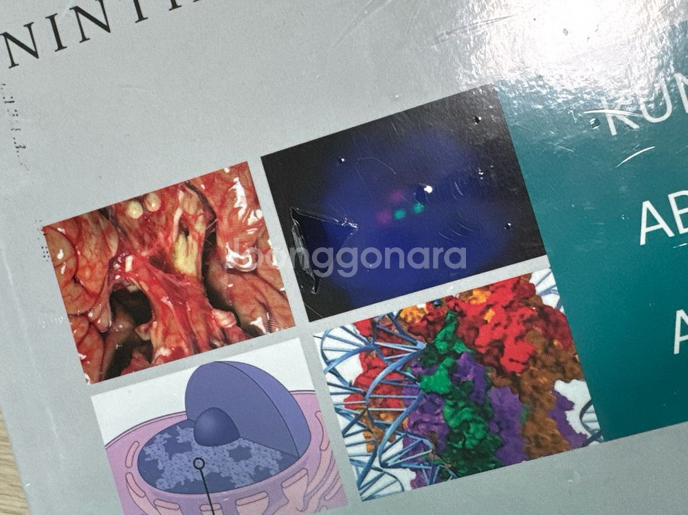 pathologic basis of disease 9판--4