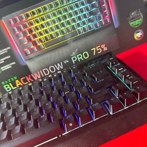 레이저 BlackWidow V4 Pro 75%
