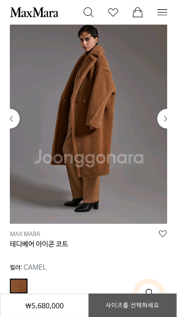 새상품) 막스마라 테디베어 카멜 XS 파리 쁘렝땅--0