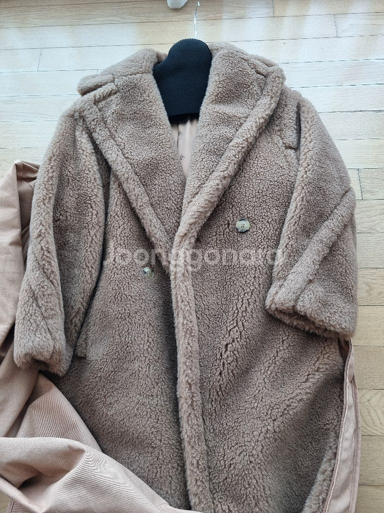 새상품) 막스마라 테디베어 카멜 XS 파리 쁘렝땅--2