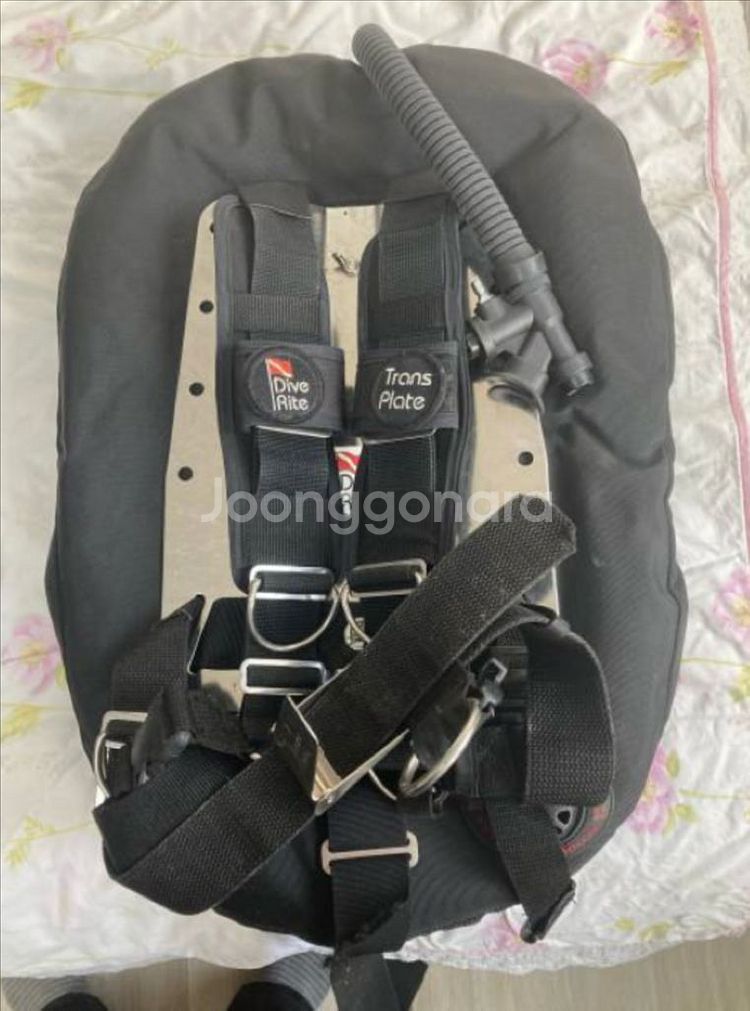 dive rite BCD--0