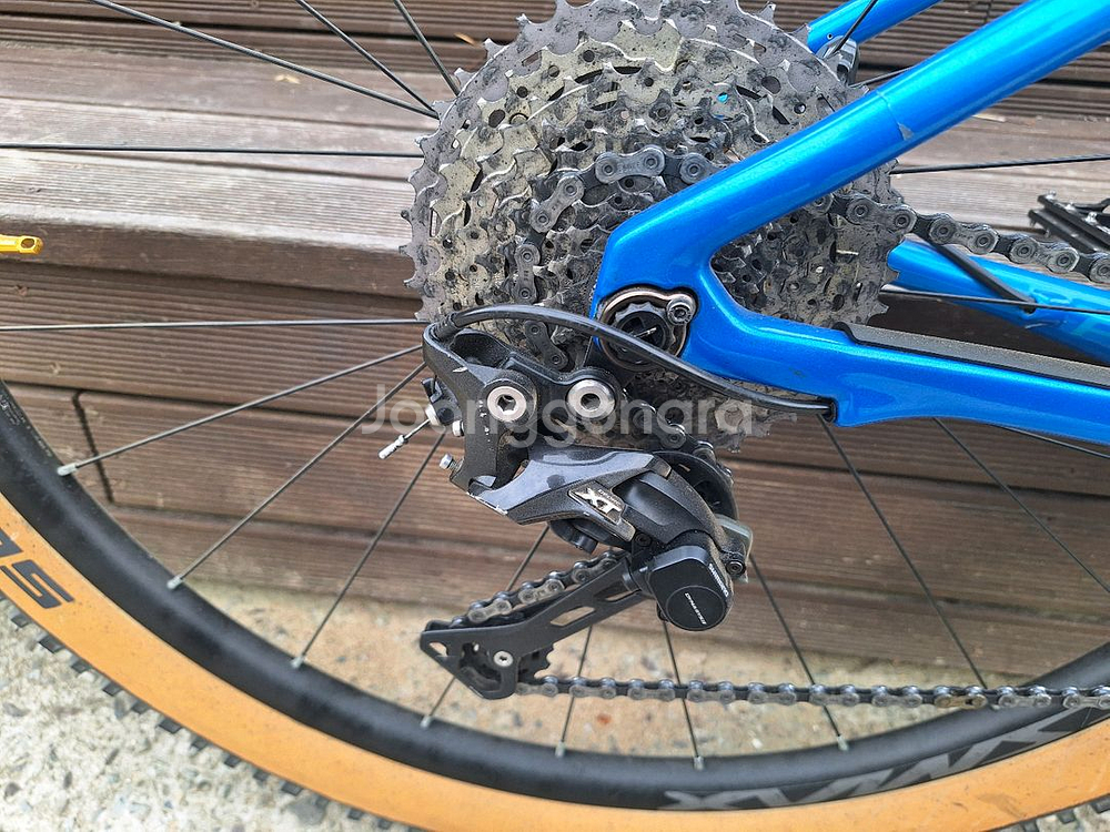 포커스 레이븐 풀 XT 풀카본 MTB--3