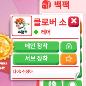 입양하세요 클로버소
