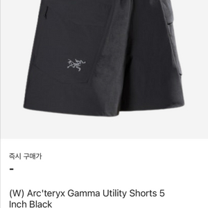 아크테릭스 감마 유틸리티 쇼츠