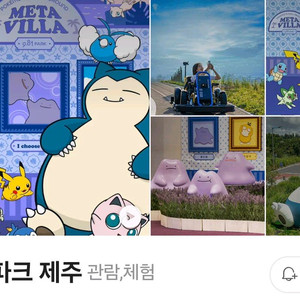 제주 9.81파크 이용권