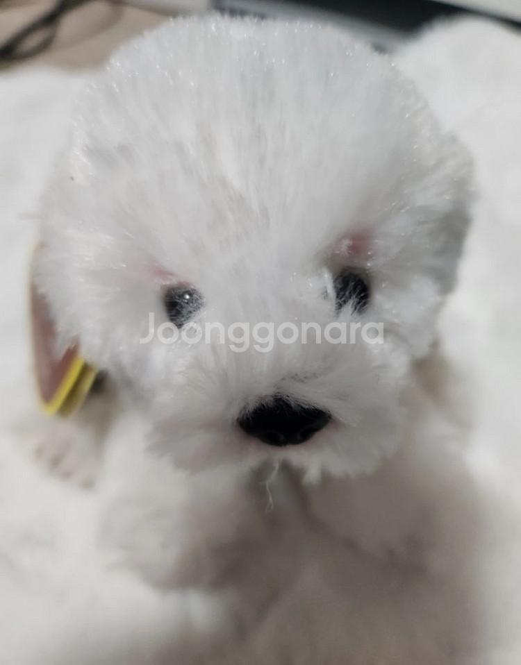 강아지 인형 빈티지 고전--0