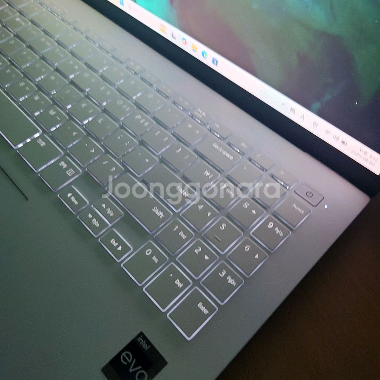 LG그램 15Z90R 노트북 i5 13세대 16GB--9
