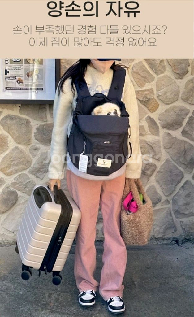 급) 베베폼 강아지 이동 가방 사이즈 L--1