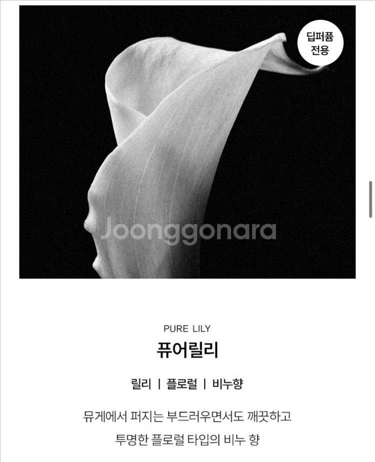 센티카 섬유향수 섬유탈취제 100ml 2개입--2
