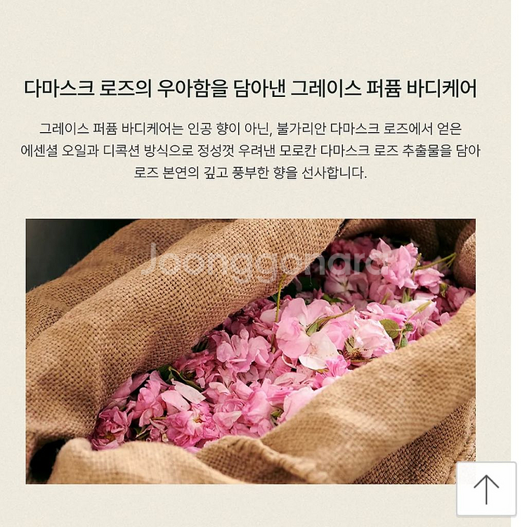 아로마티카 로즈 퍼퓸 바디워시&바디로션 세트--2